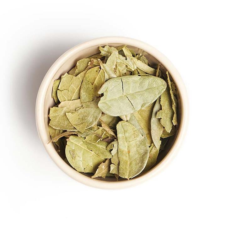 Boldo Hojas x 1kg - Hierbas del Oasis
